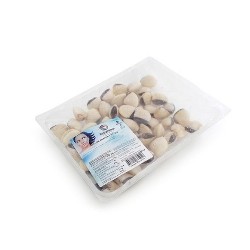 Beira Nova WEISS VENUSMUSCHELN aus VIETNAM 800GR.