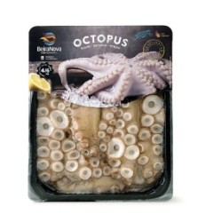 Beira Nova OKTOPUS GROß 2 bis 3KG.