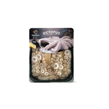 Beira Nova OKTOPUS GROß 2 bis 3KG.